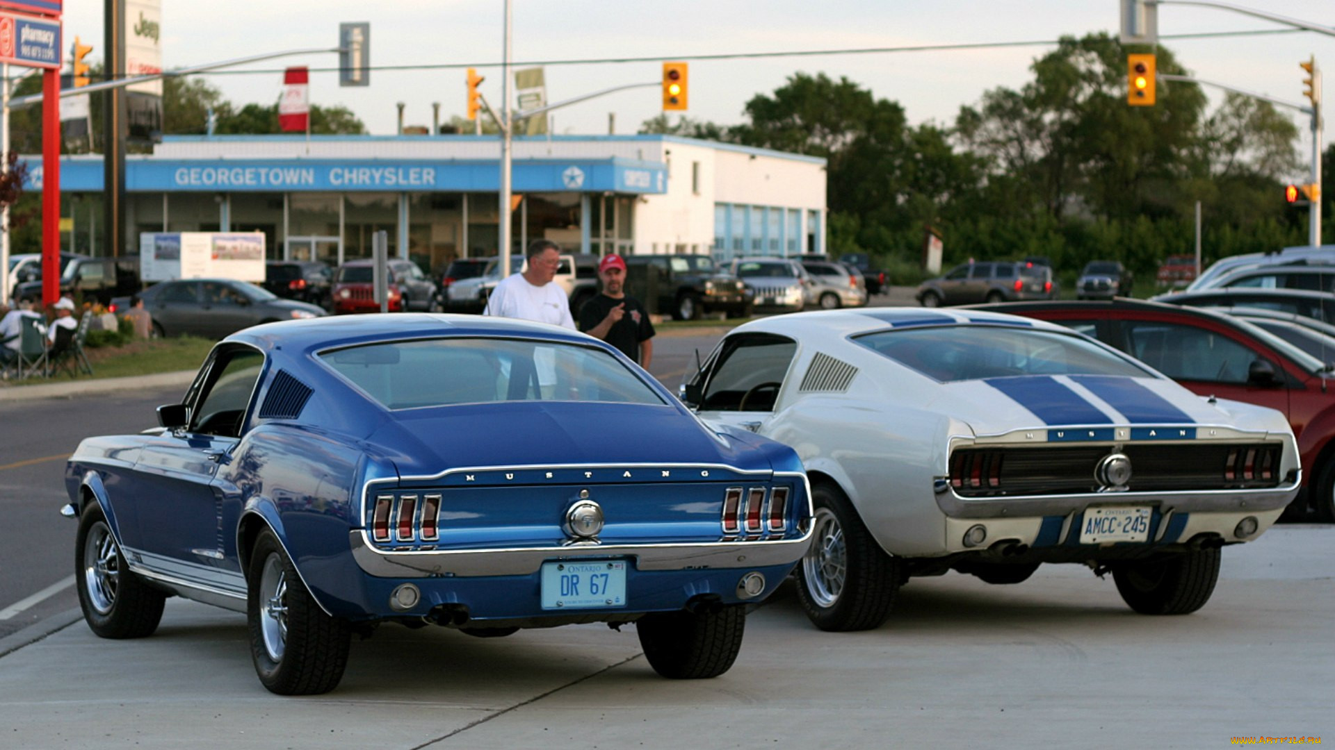 , , , , mustang, ford, 1967